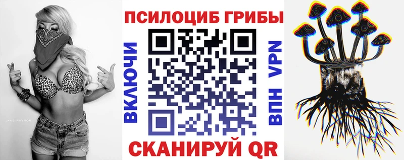 mega зеркало  Отрадное  Псилоцибиновые грибы Cubensis 